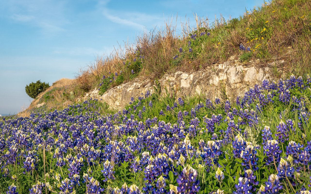 Granbury