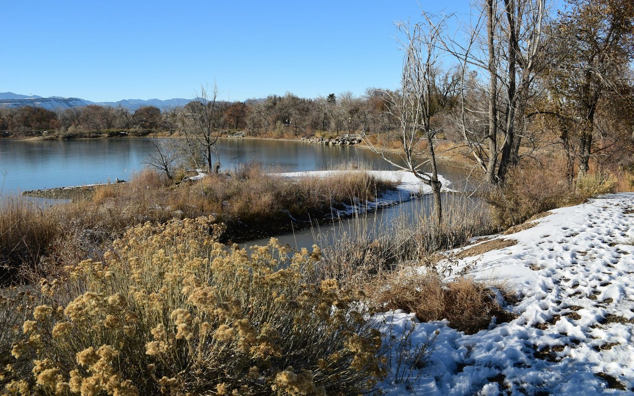 Wheat Ridge
