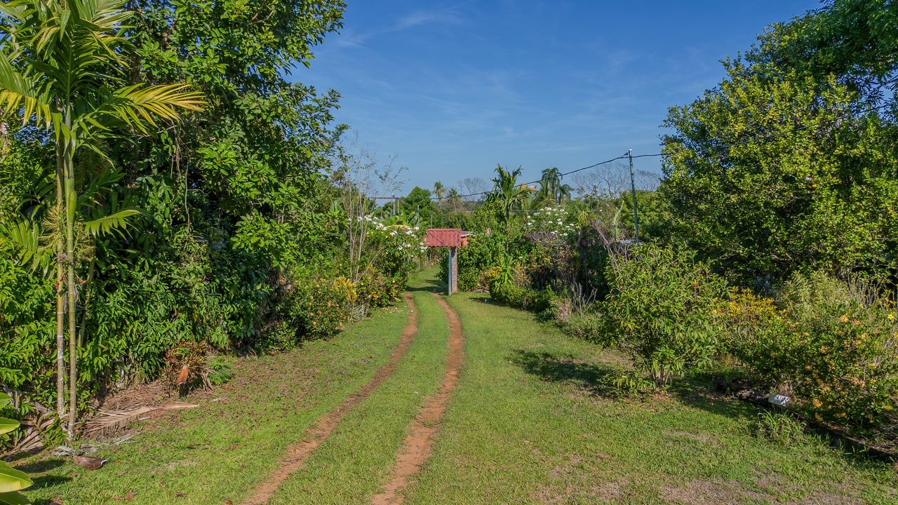 Vista Serena, beautiful House surrounded by nature in Villa Nueva de Quepos