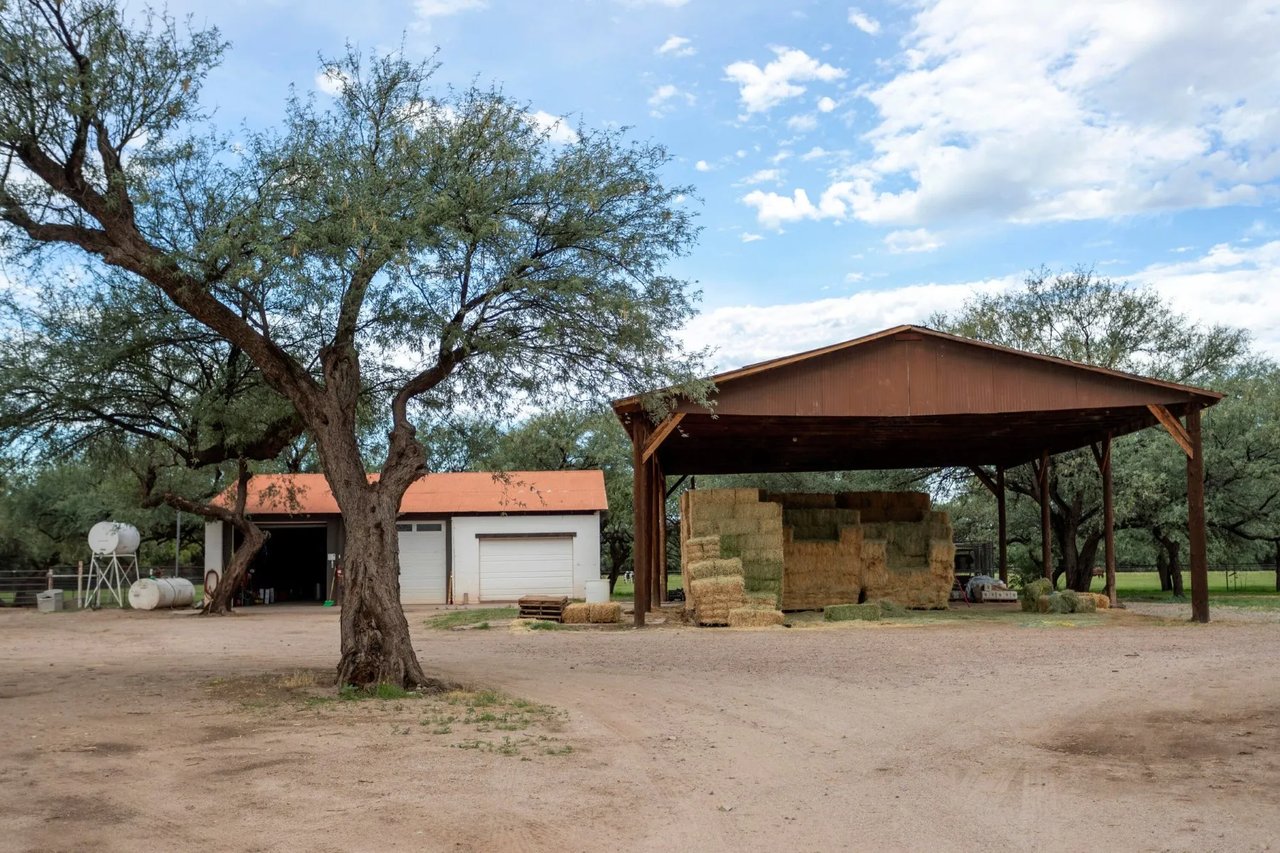 3155 W Elephant Head Rd