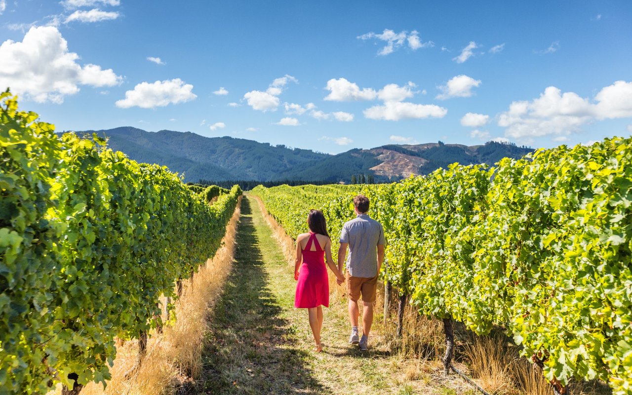 Lots, Land, & Vineyards