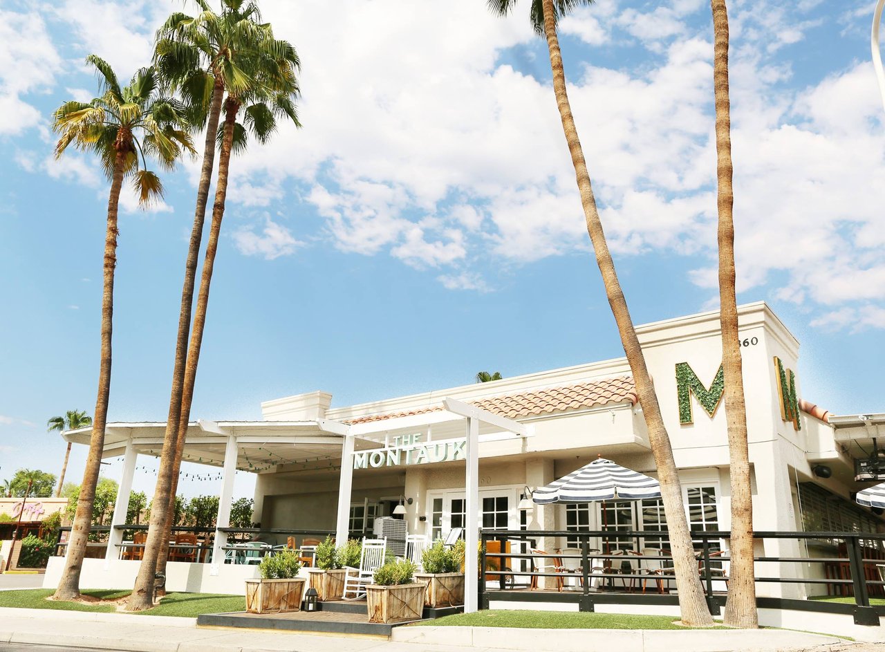 The Best Dog-Friendly Spots in Scottsdale: Where Pups and People Love to Go