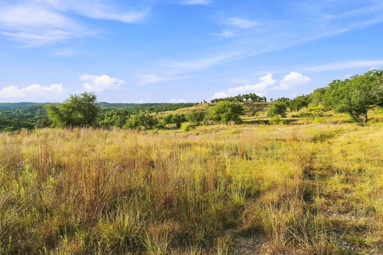 Texas Hill Country ranchland with golden grasses, scattered oaks, rolling hills, and a dirt track.