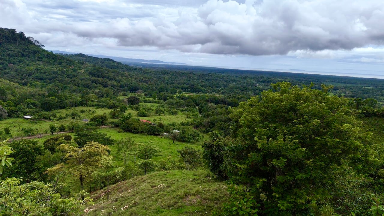 Ocean View Sanctuary in San Buenas – 4.94 Acres of Pastures & Easy Accessaccess