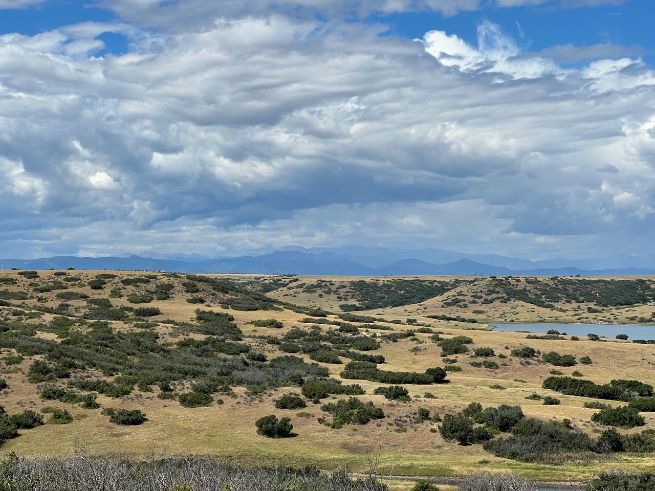 7783 Lemon Gulch Way