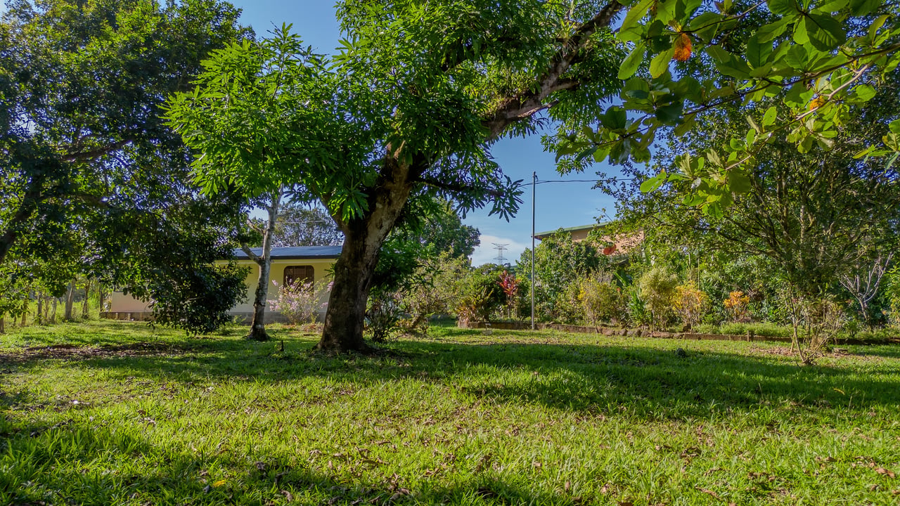 Vista Serena, beautiful House surrounded by nature in Villa Nueva de Quepos