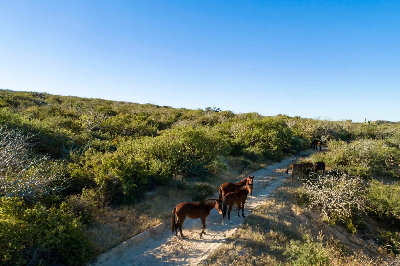 Punta Perfecta Developer Parcel