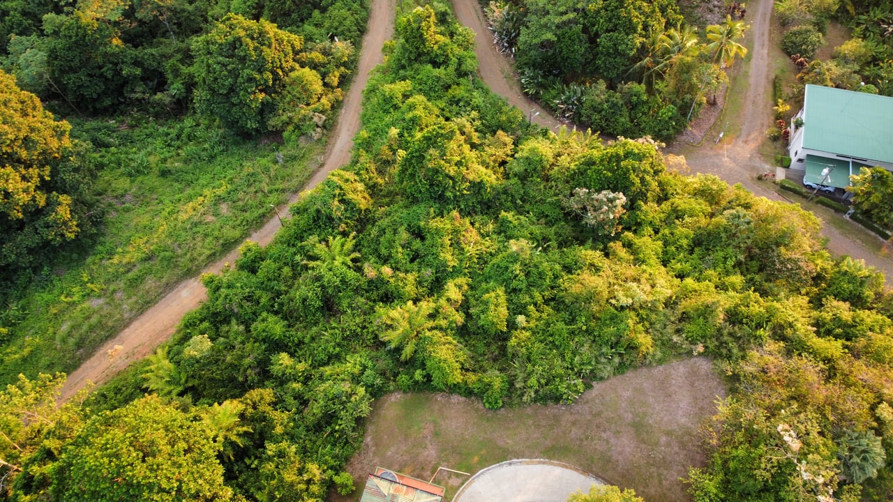 Villa Vista Hermosa | Nature refuge near Manuel Antonio National Park