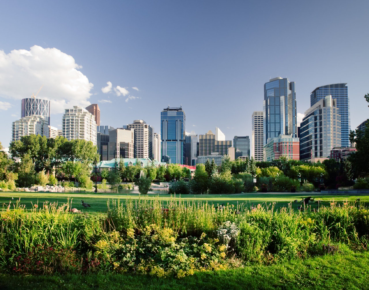 Inner city Calgary skyline viewed from a green park with downtown office towers and residential buildings in the background