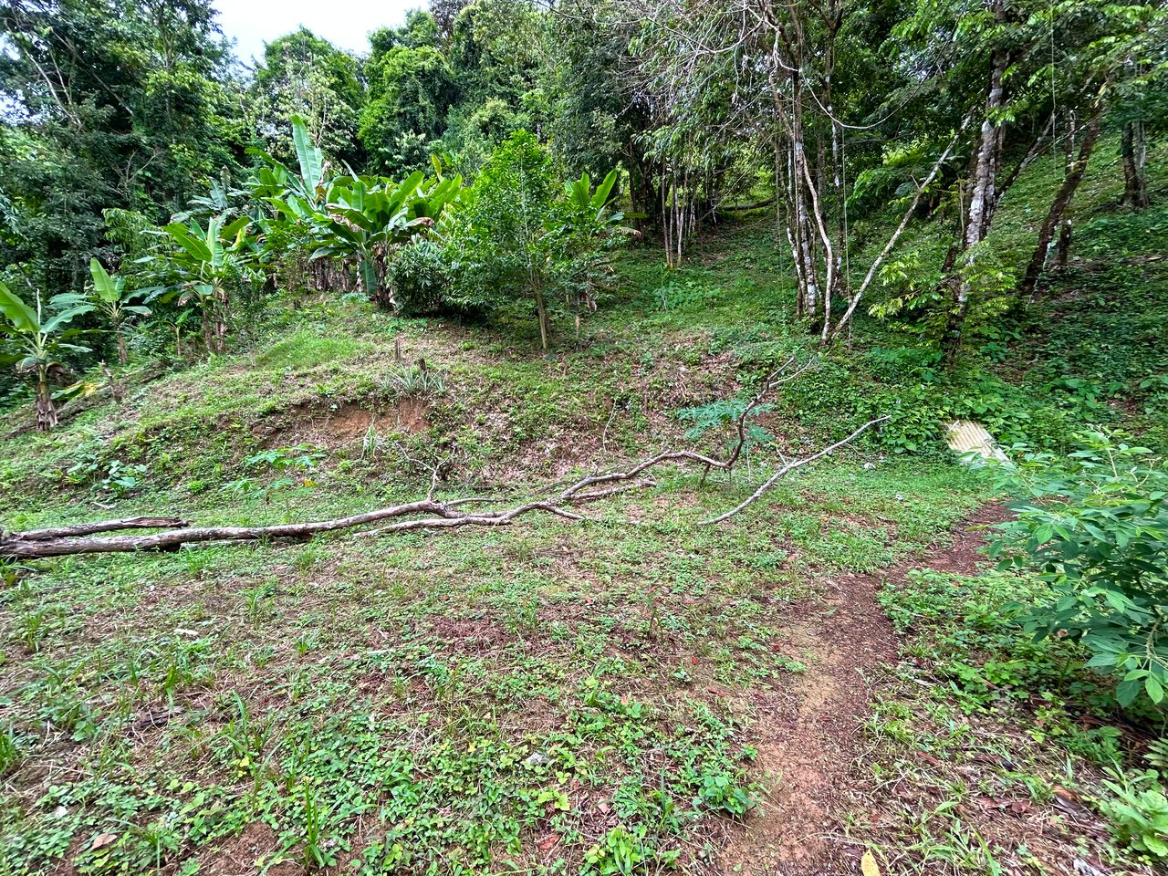 Ocean View Property in Playa Hermosa - Over 1 Acre