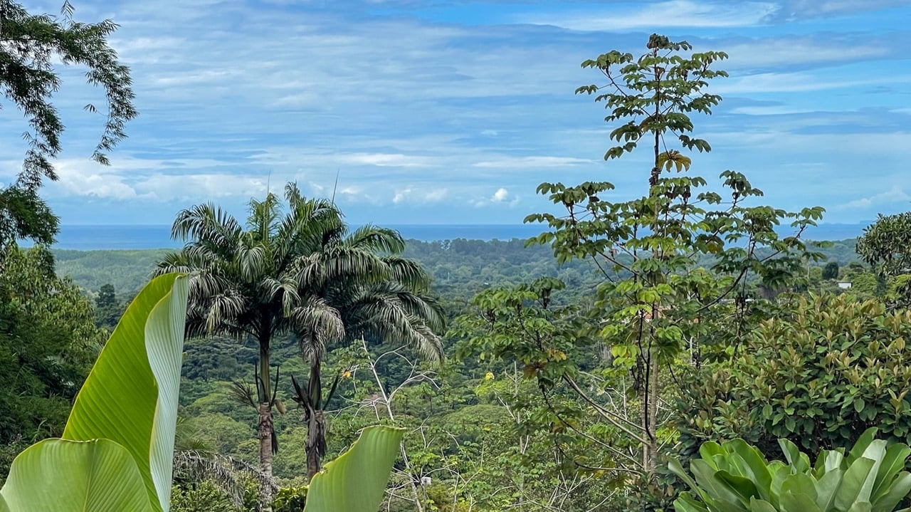 Harmonious Modern Uvita Home with Infinity Pool, Ocean Views, and Rental Options