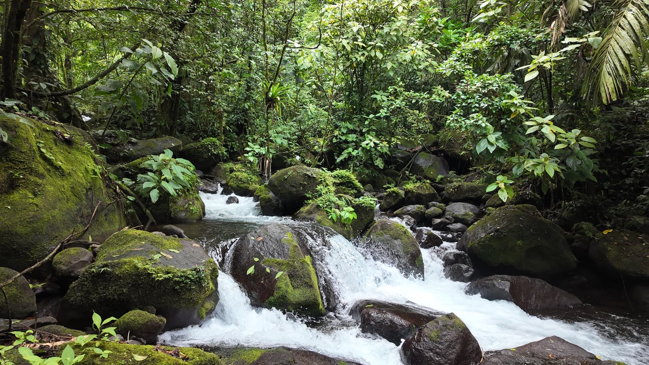 10.5 Hectares Rio Celeste - Nature Lover's Dream - Bijagua 
