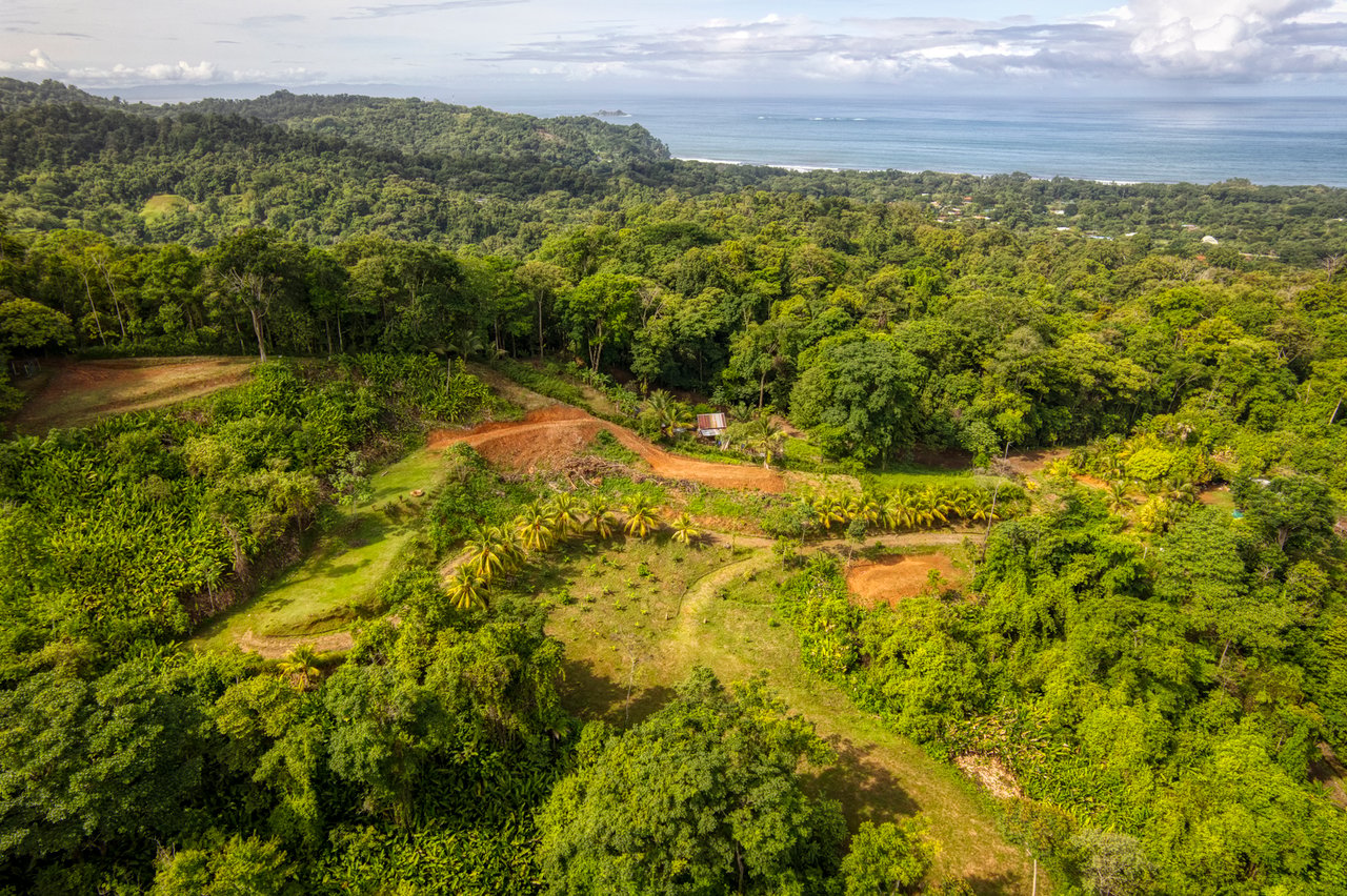 Sustainable Development Land, Uvita, Puntarenas