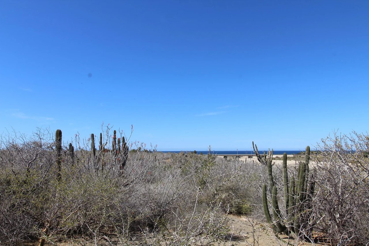 Ranchito Ellias Calles