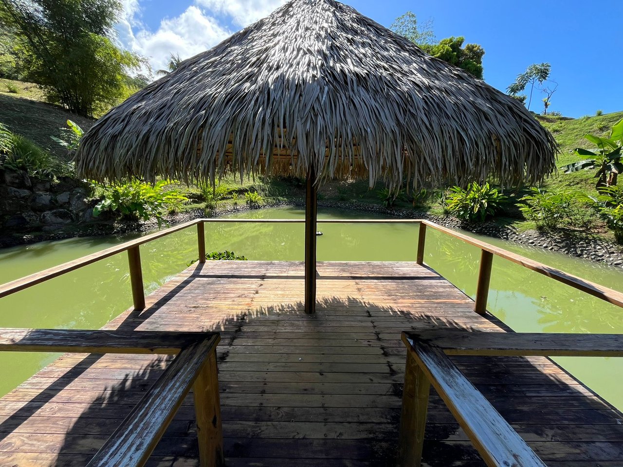 Cinematic Ocean&Mountain View Property In Vista Dominical Estate, Minutes From The Beach!