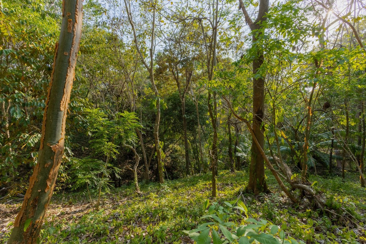 Exclusive Ocean View Development Homesite, Santa Teresa, Puntarenas