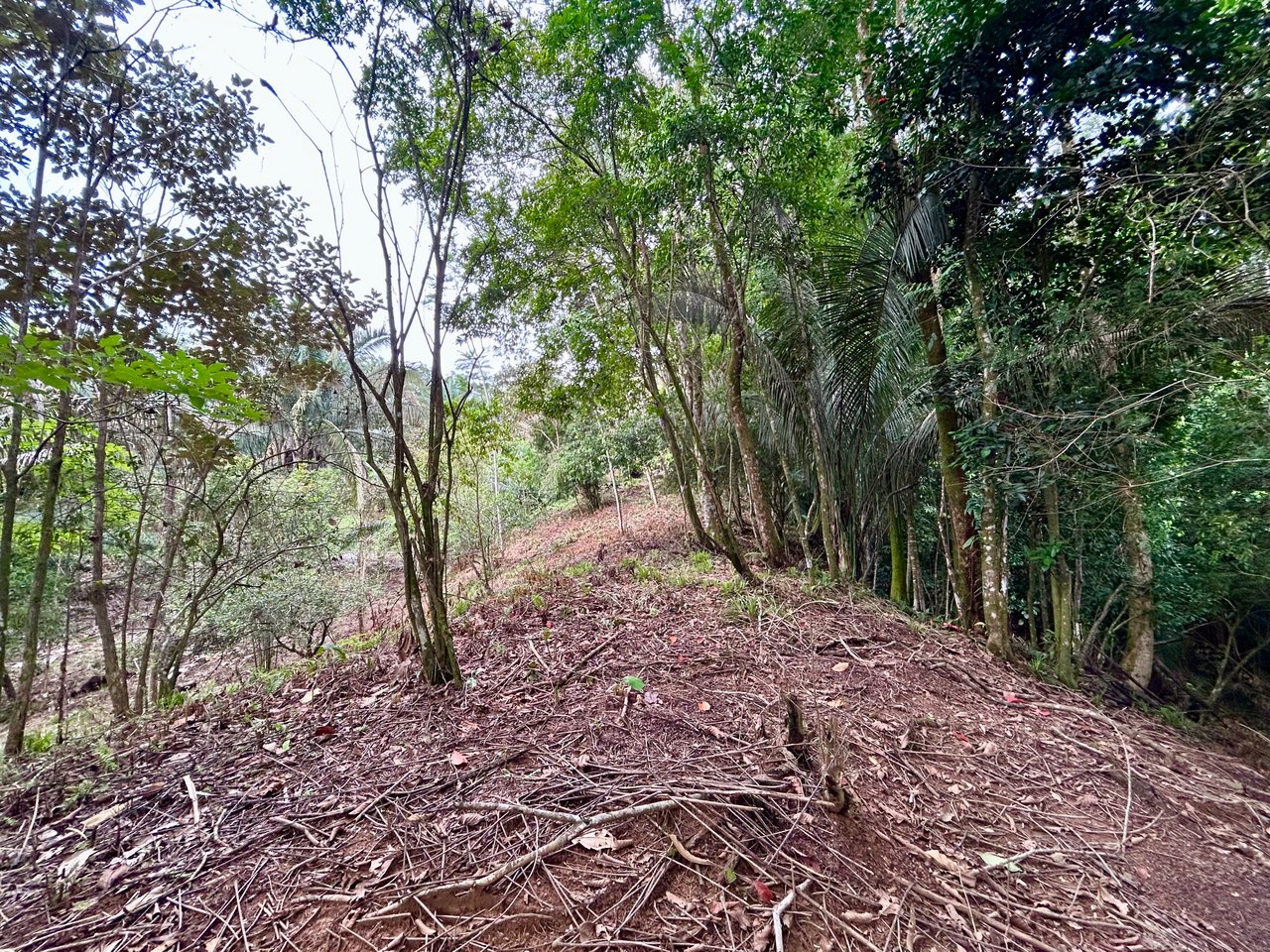 Over 1.4 Acres in Playa Hermosa – Just 5 Minutes from the Beach!