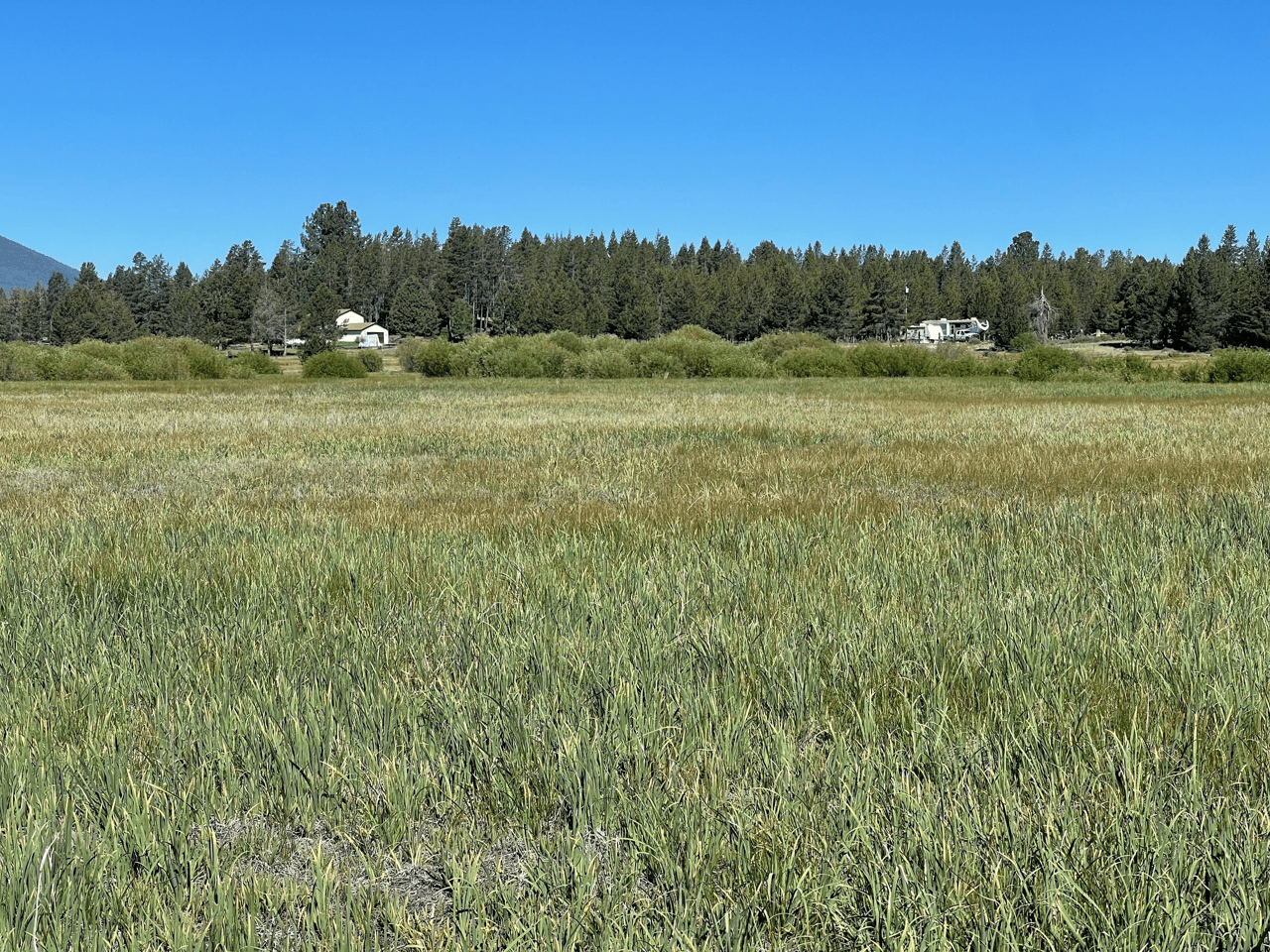 Just Listed: 23 Acres of Land with River Frontage