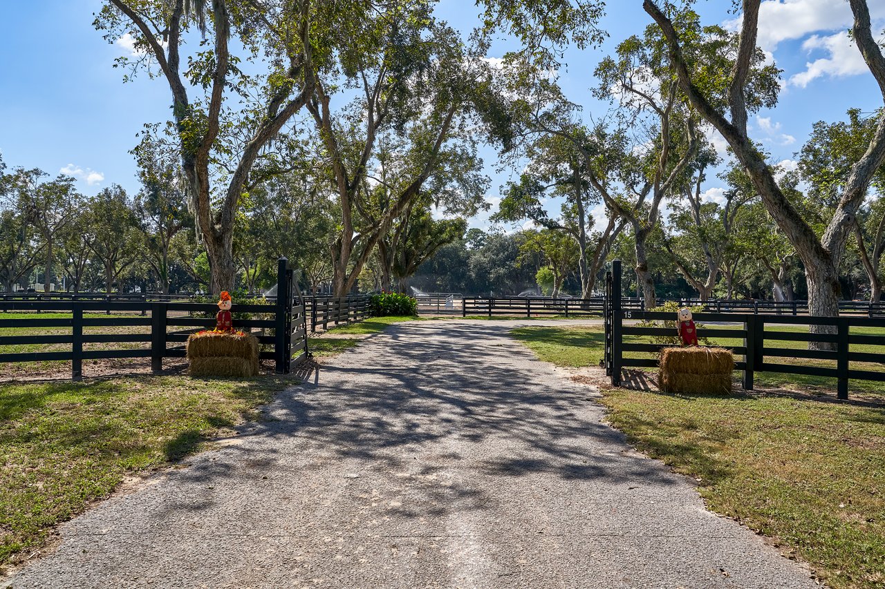 The Ultimate Guide to Selling Your Home in Moss Creek, SC