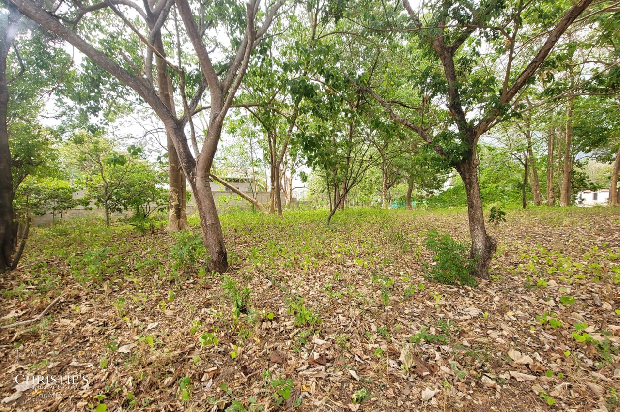 Flamingo Estates Corner Lot #15