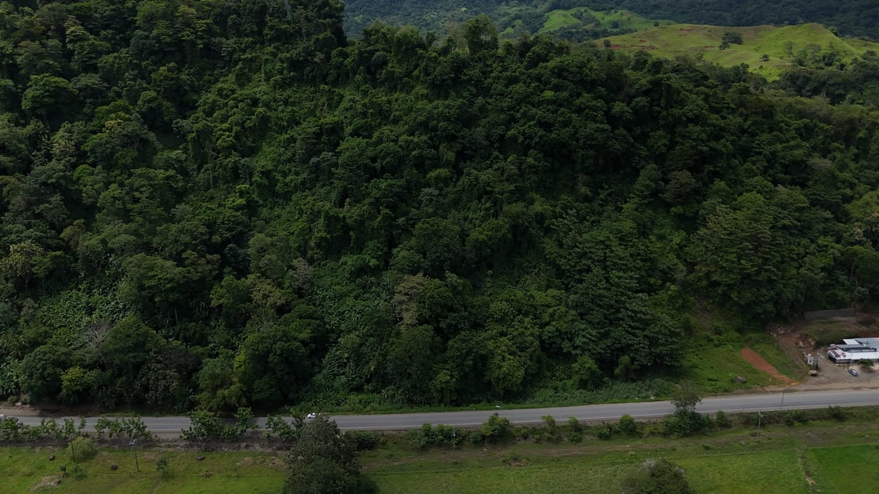 3.35 ACRES – Highway Front Commercial Property with Panoramic Ocean Views, 2 Minutes to Playa Linda!!!