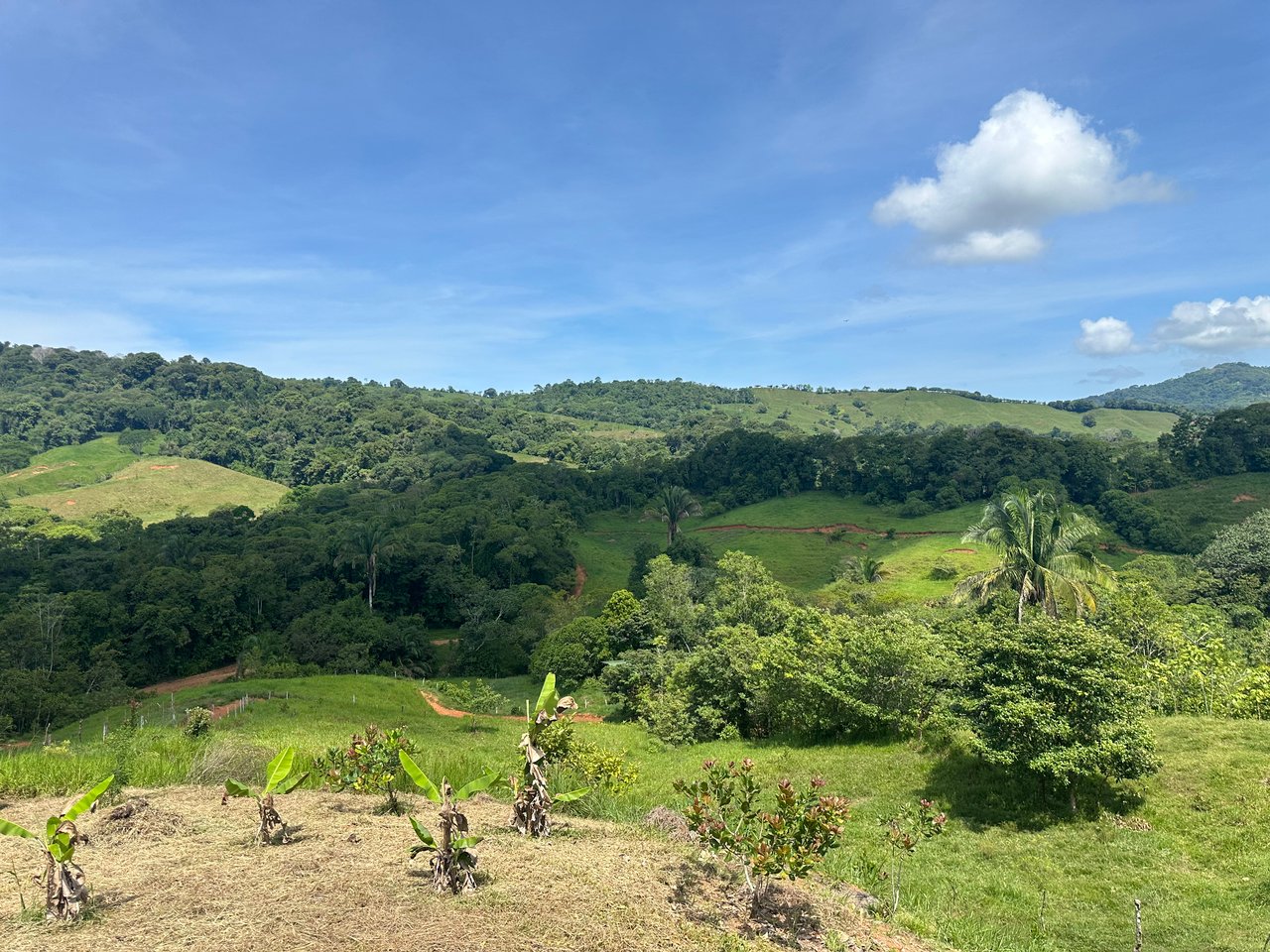 8.78 Acres Mountain View Estate with Water, Infrastructure & Endless Development Potential | Platanillo de Barú, Costa Rica
