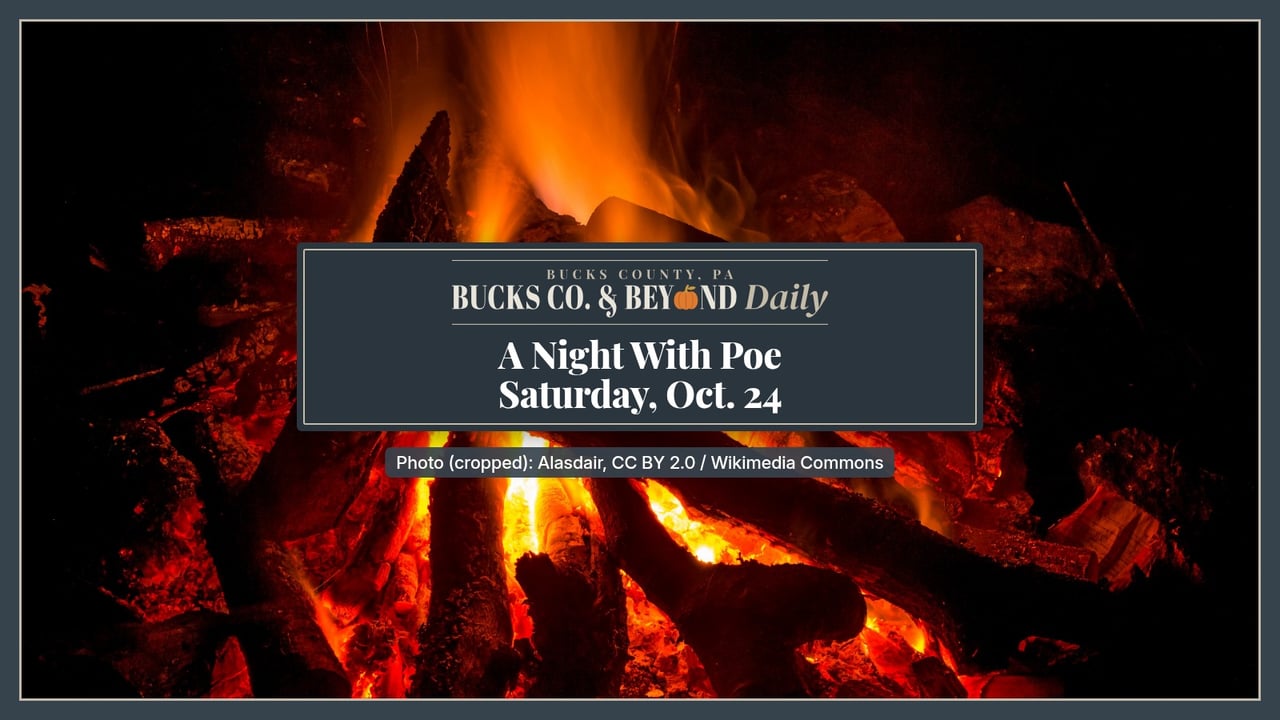 Orange flames rise from a stack of burning logs in a campfire against a dark night sky.