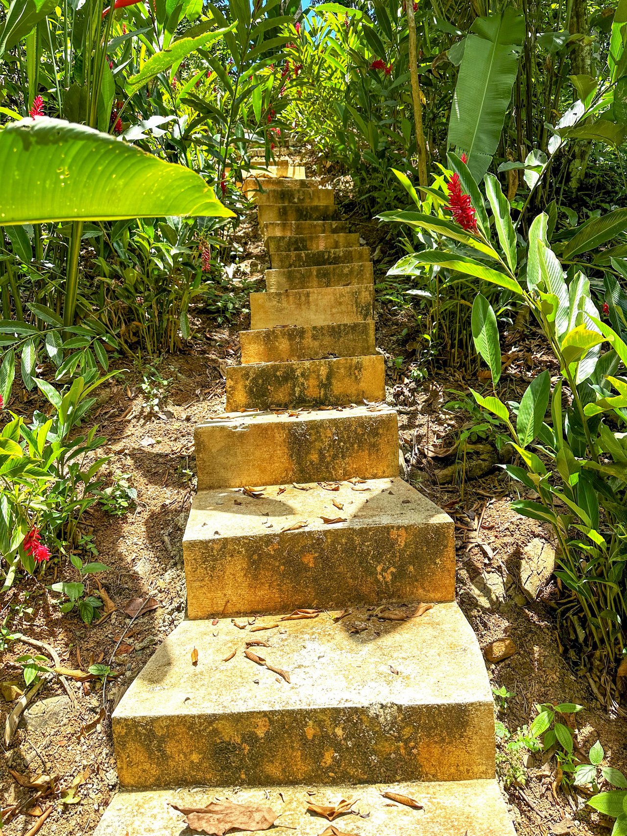 Jungle River Retreat with Airbnb & Build Space in Ojochal