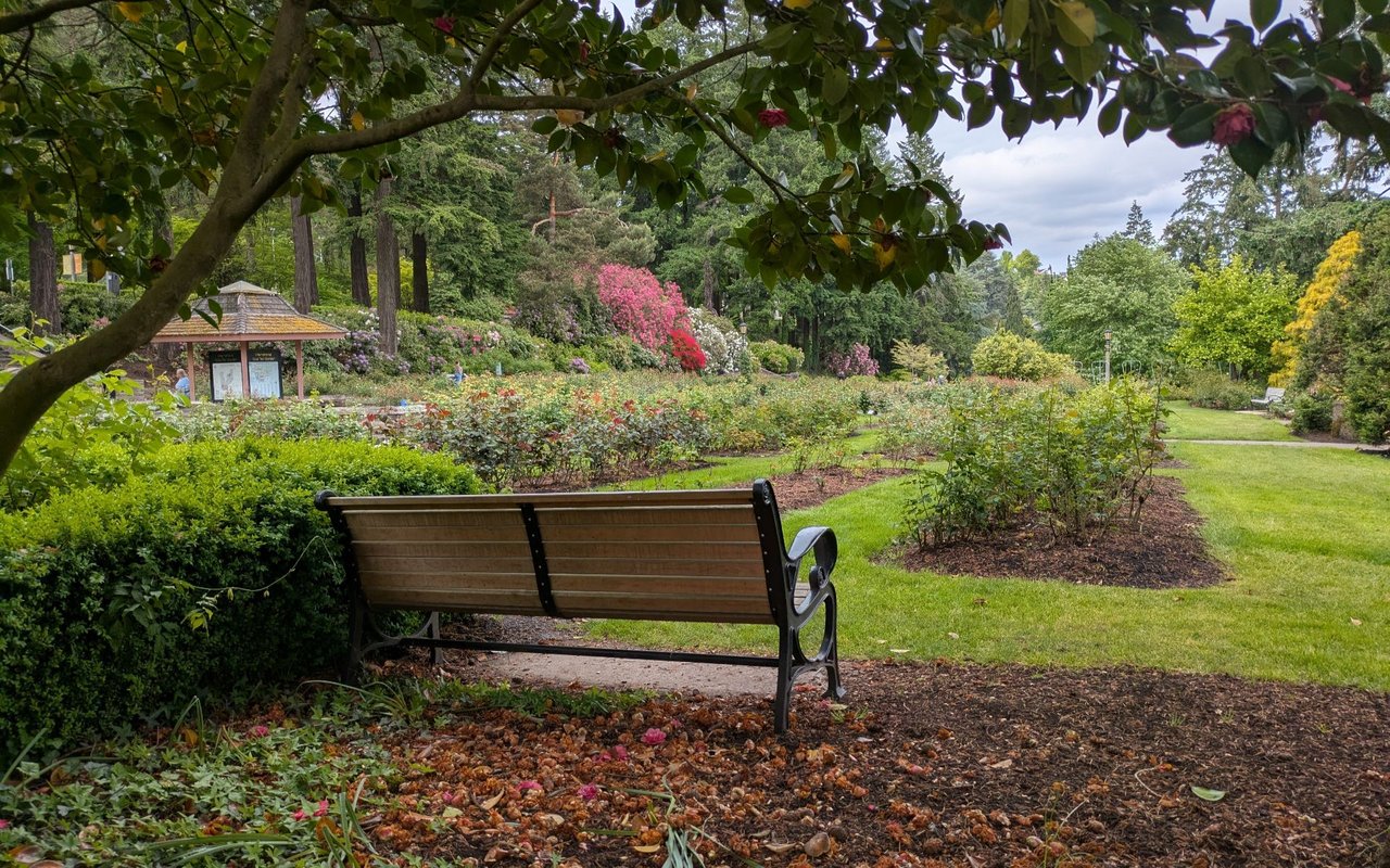 Lakeshore Gardens