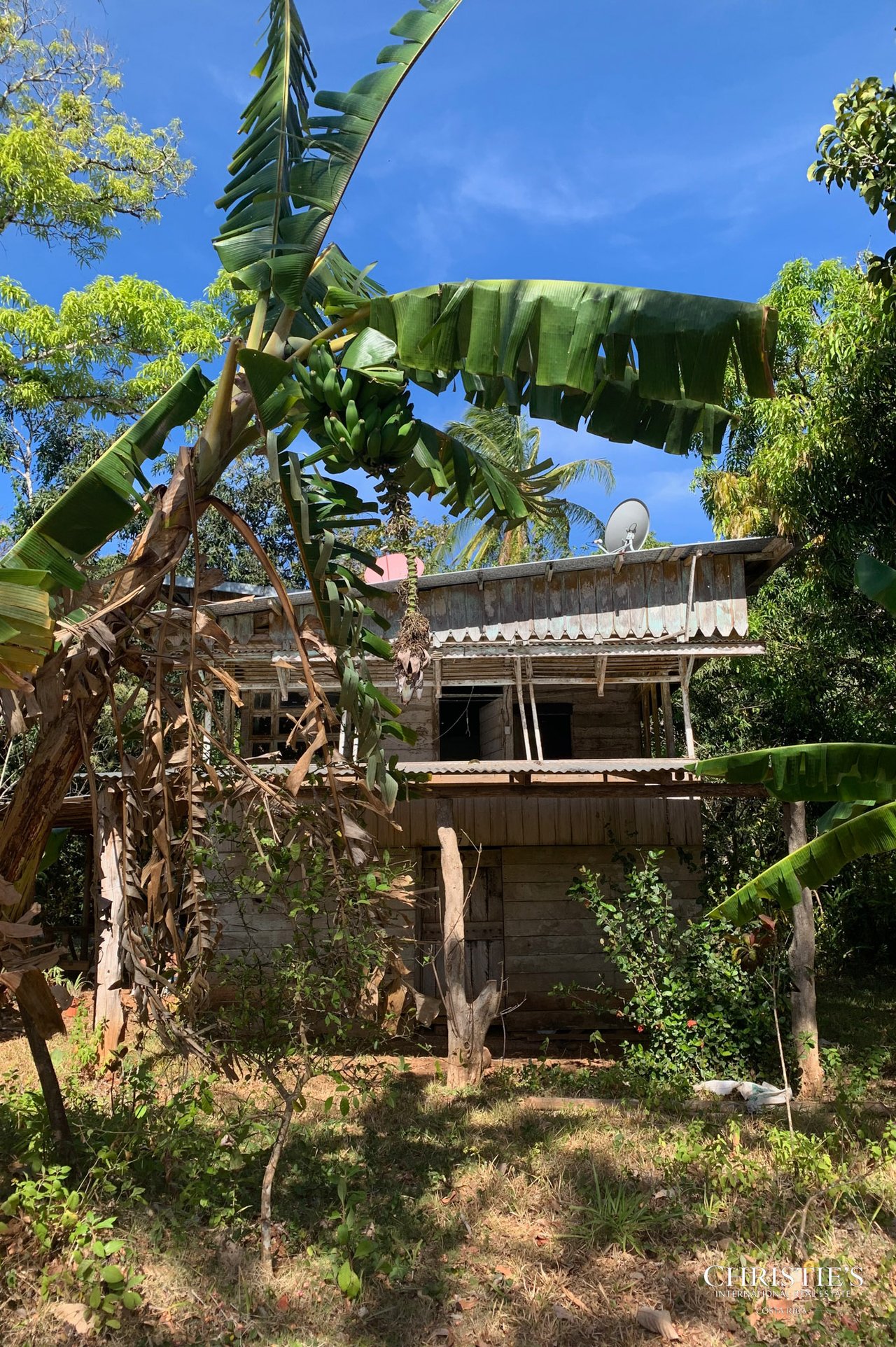 Finca Naranjalito