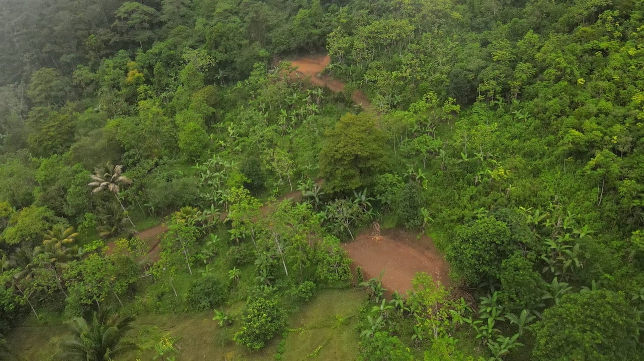 Mountain View Land with Several Building Sites and Mature Fruit Trees