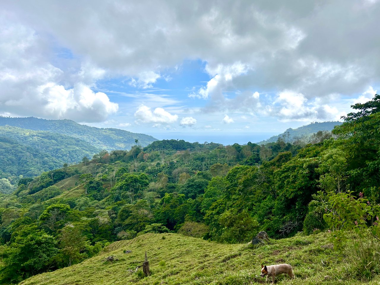 Gorgeous Land in San Luis Morete - Uvita - Over 17 Acres