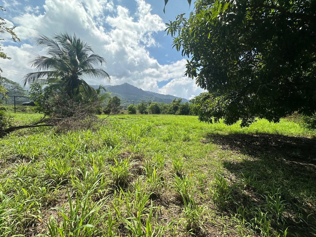 Prime Investment Property with Highway Frontage & Segregation Potential
