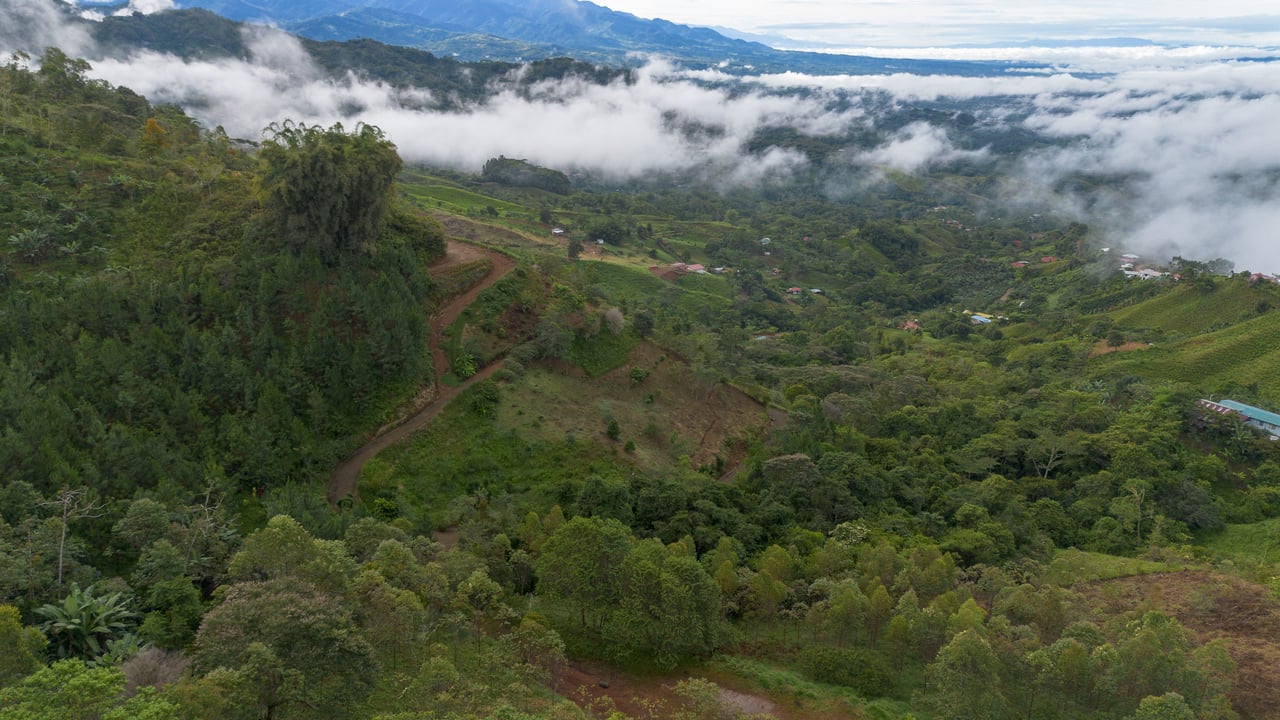 10.21 Acres with Views & Plantels – Pérez Zeledón