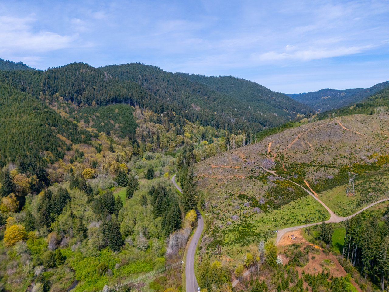 Nelson Mountain Meadows