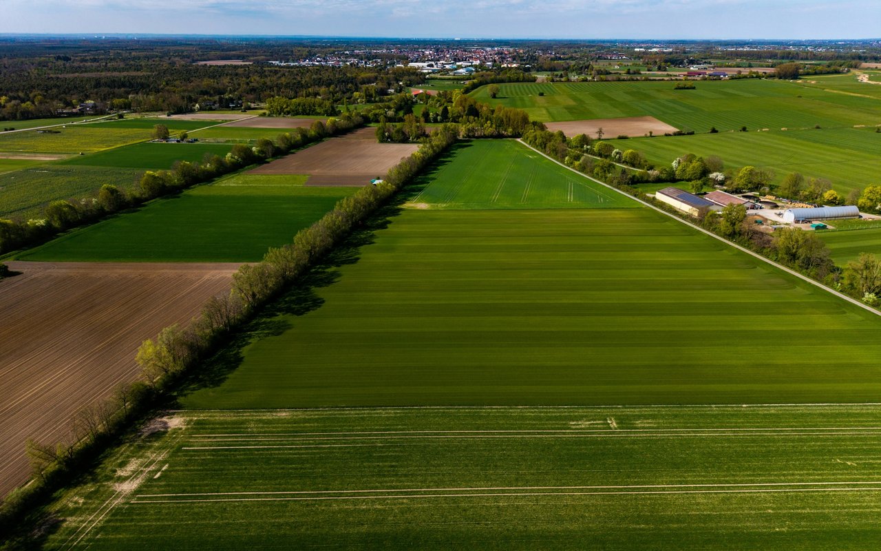 Aerial view of Dover’s green farm fields, tree-lined roads, and town in the distance.