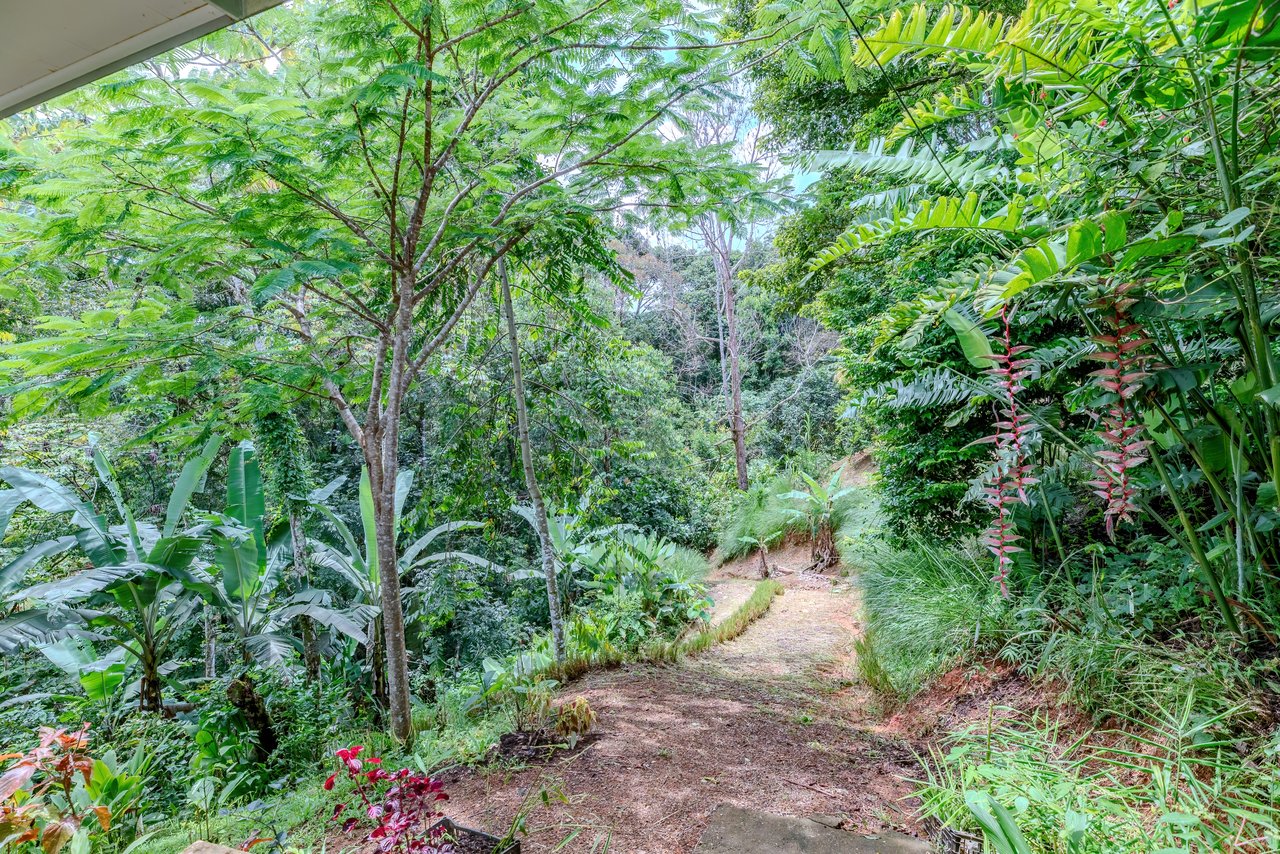 Multi-Family Compound, 4 Fully Furnished Units | 15 Minutes to the Beach