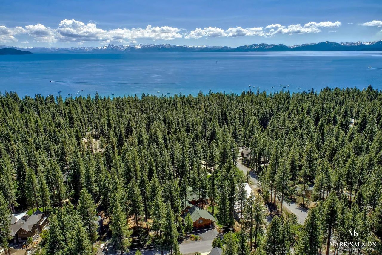 Ponderosa