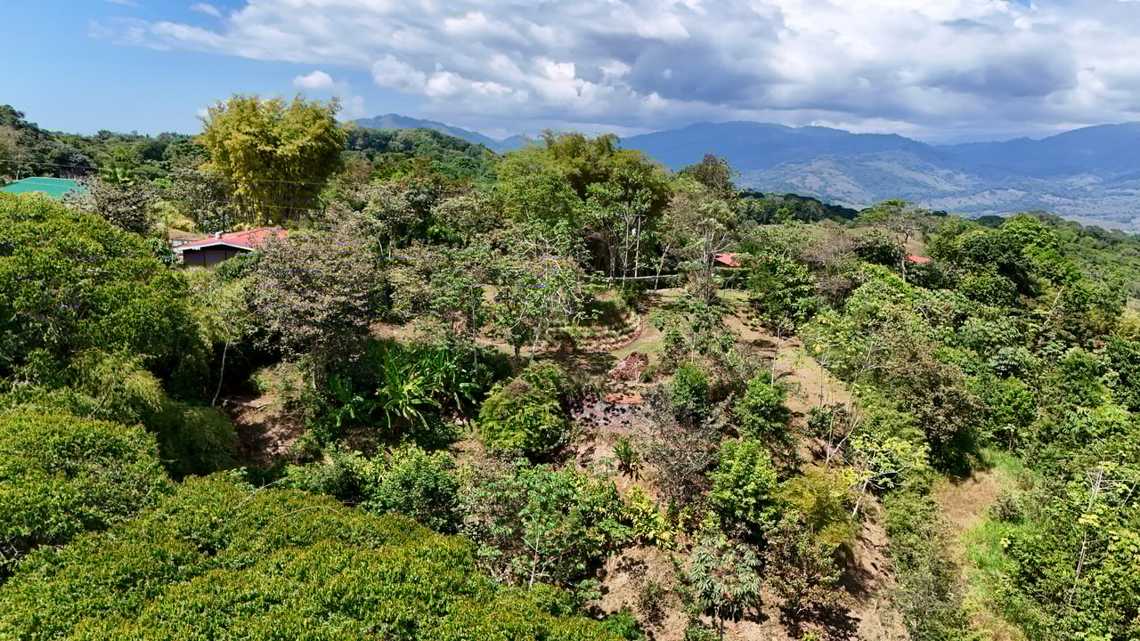 New 1,4 Acre lot in Platanillo – With Legal Water  
