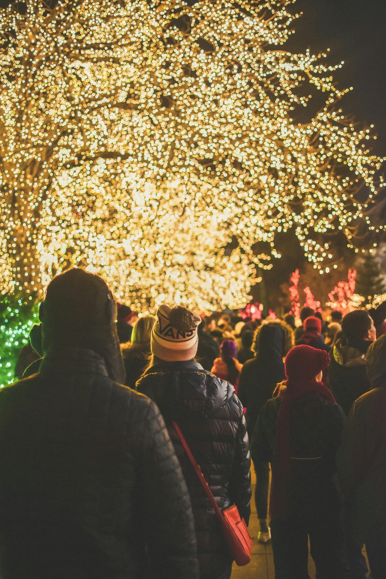 Ultimate Atlanta Holiday Events & Things to Do 2024