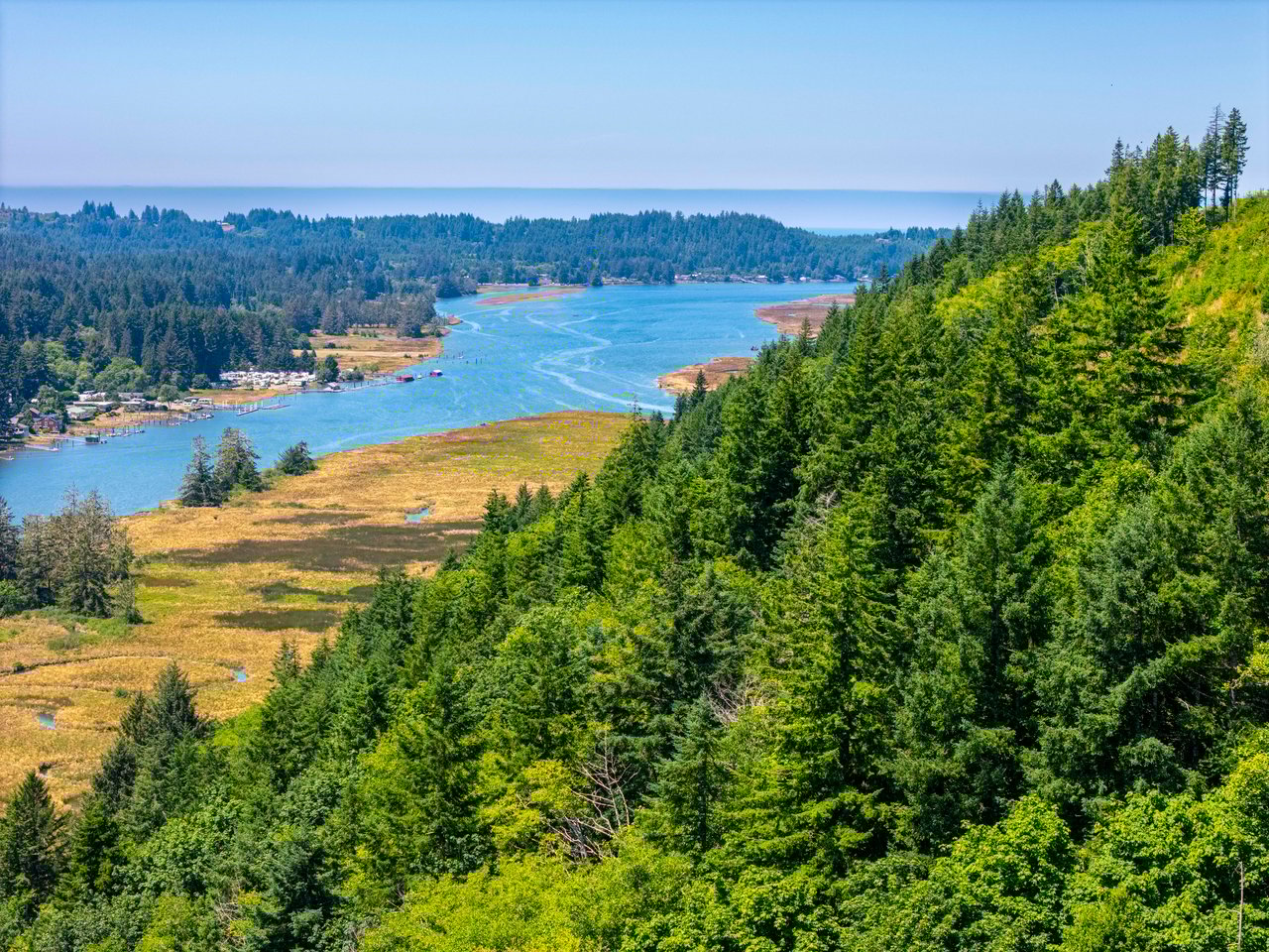 Alsea Estuary Forestland