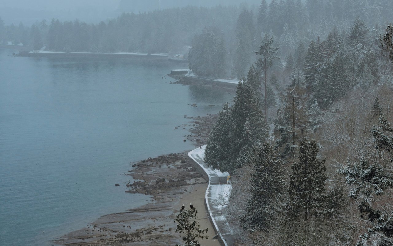 the vancouver rennie advance | February 2026