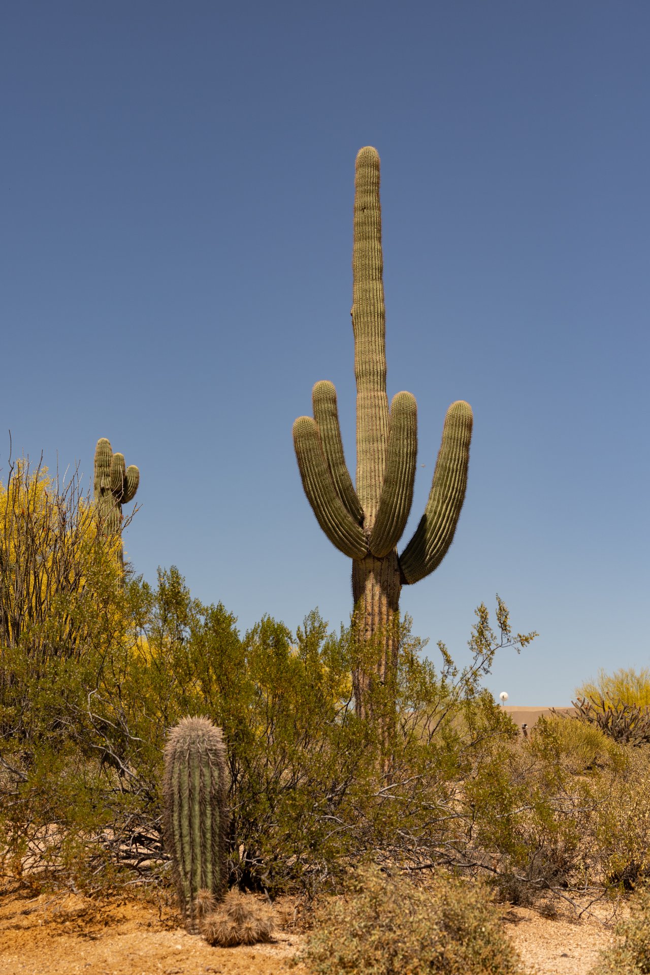 Your Future Is Being Discussed in Rooms You’ll Never See... Is Your Trusted Real Estate Advisor in the Room?