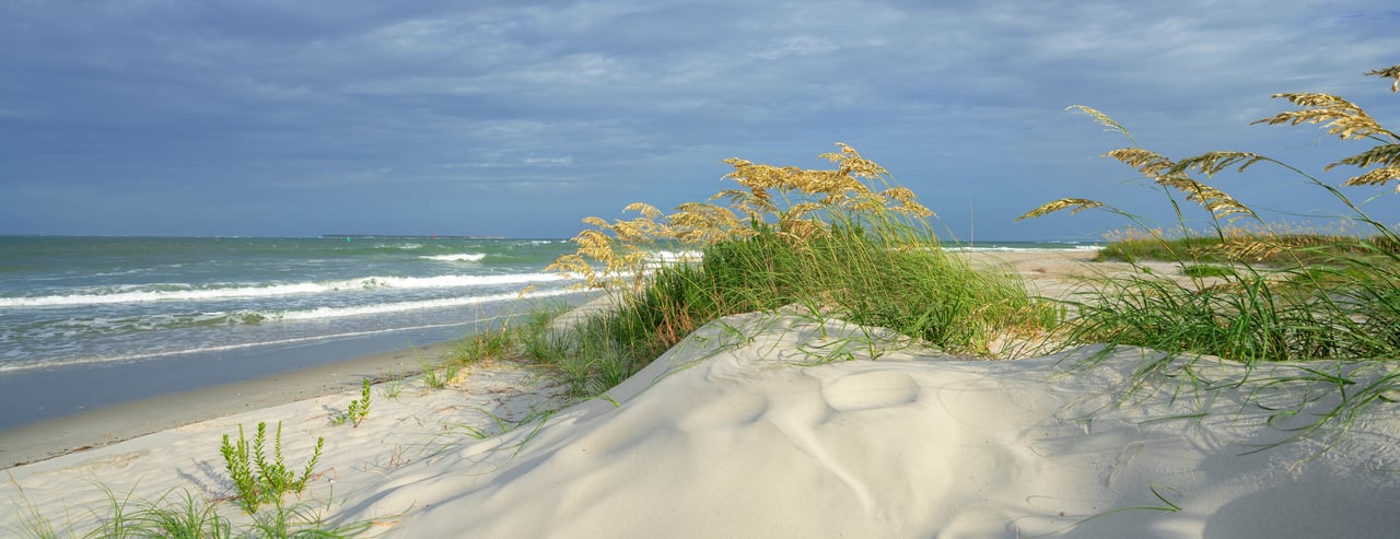 Waves roll onto a sandy beach edged by dune grass.