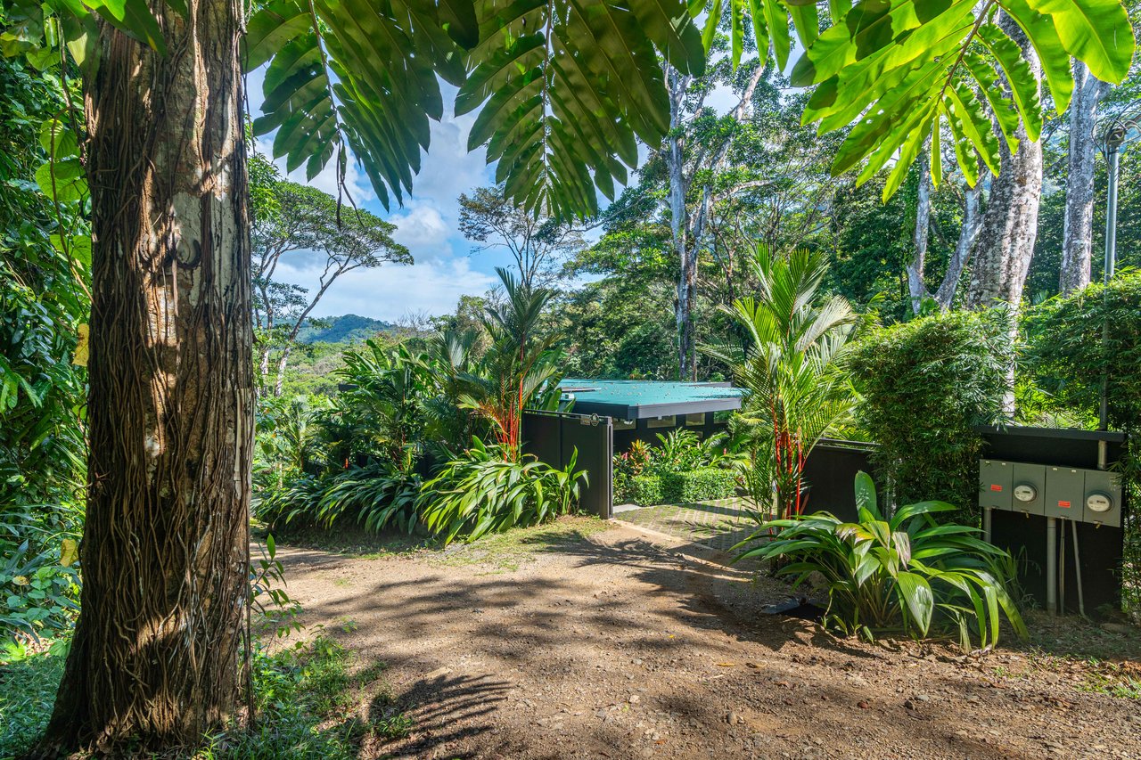 Escaleras Modern Elegance with Ocean Window Views and Jungle Tranquility, Dominical Costa Rica