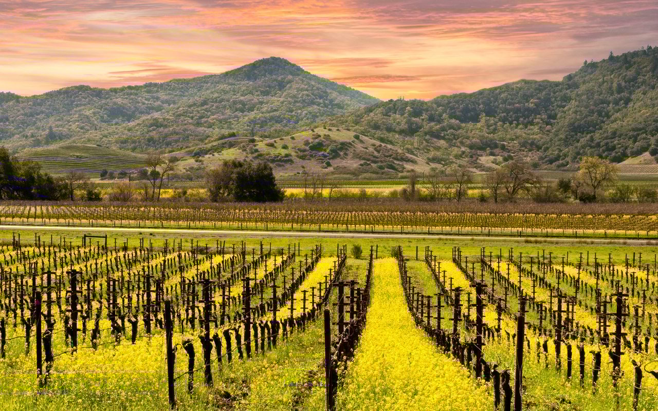 Yountville