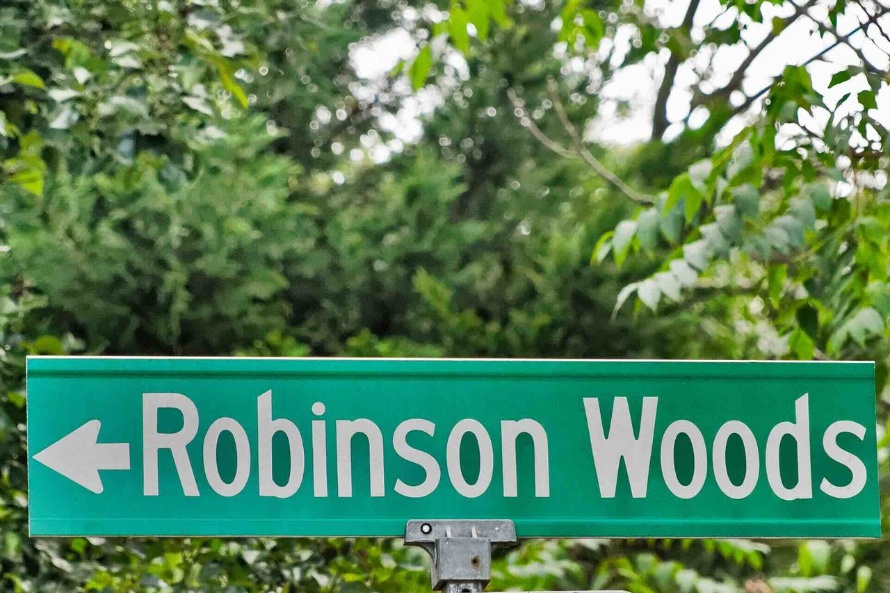 Robinson Woods
