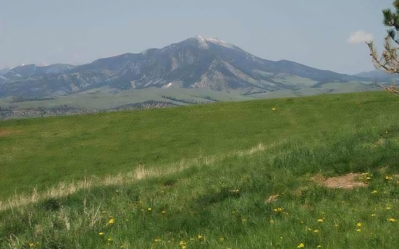 2014 Bozeman Real Estate Market Report