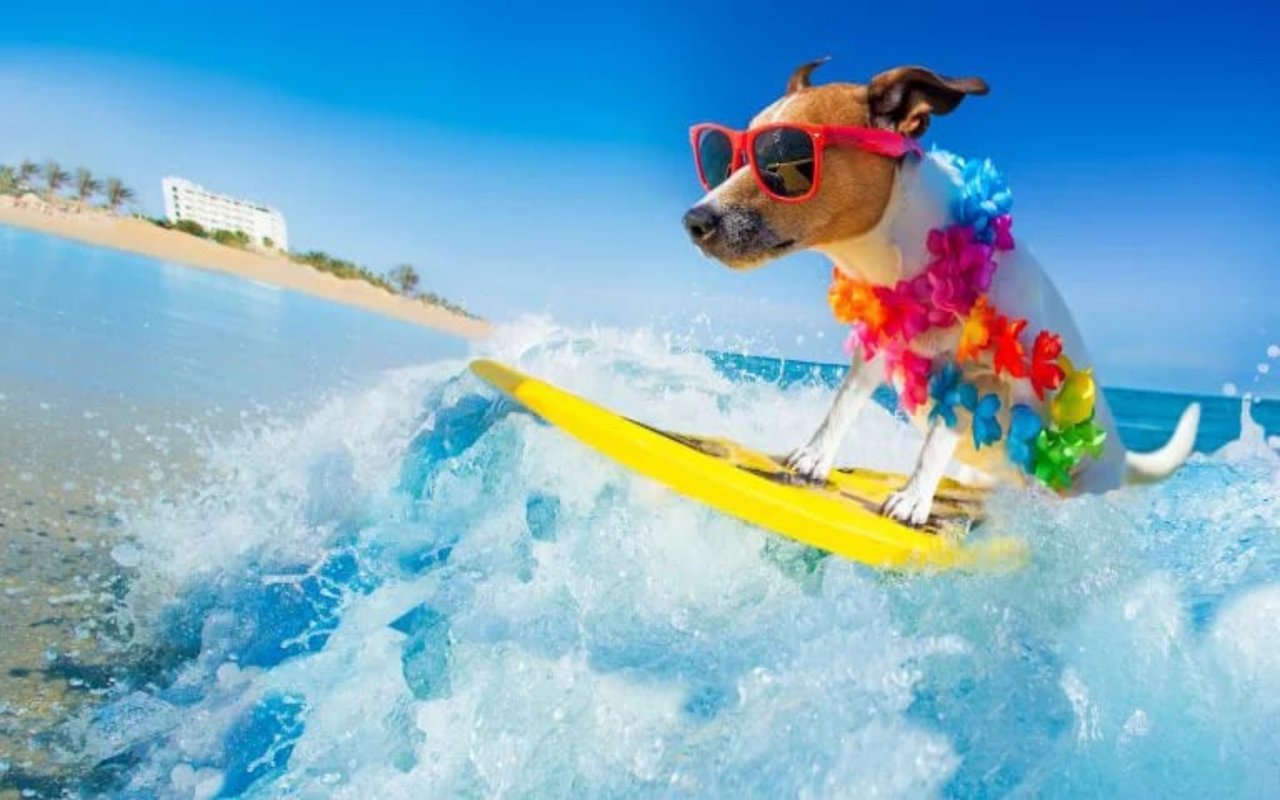2 “Cool” Summer Fun Open House Tours