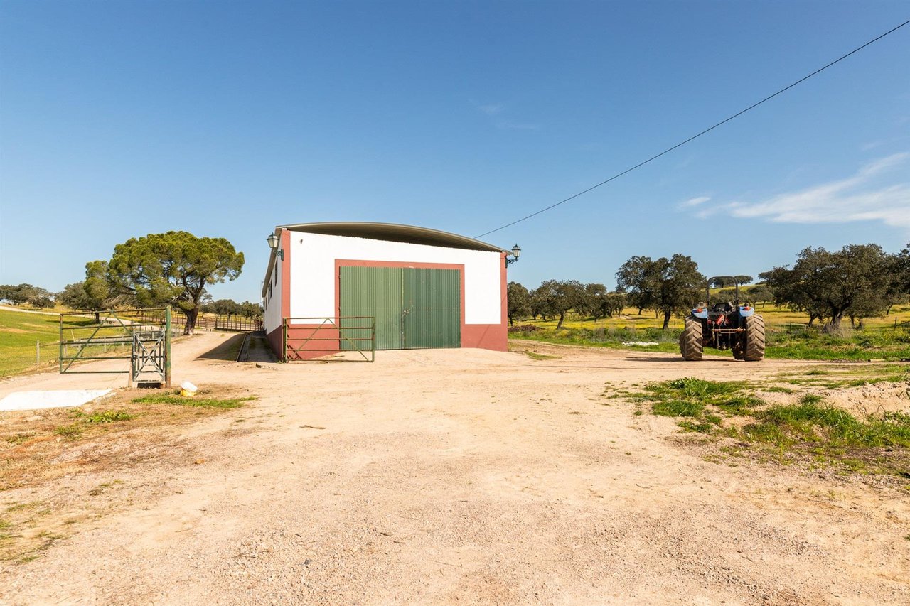 380-Hectare Countryside Equestrian Estate in Alentejo